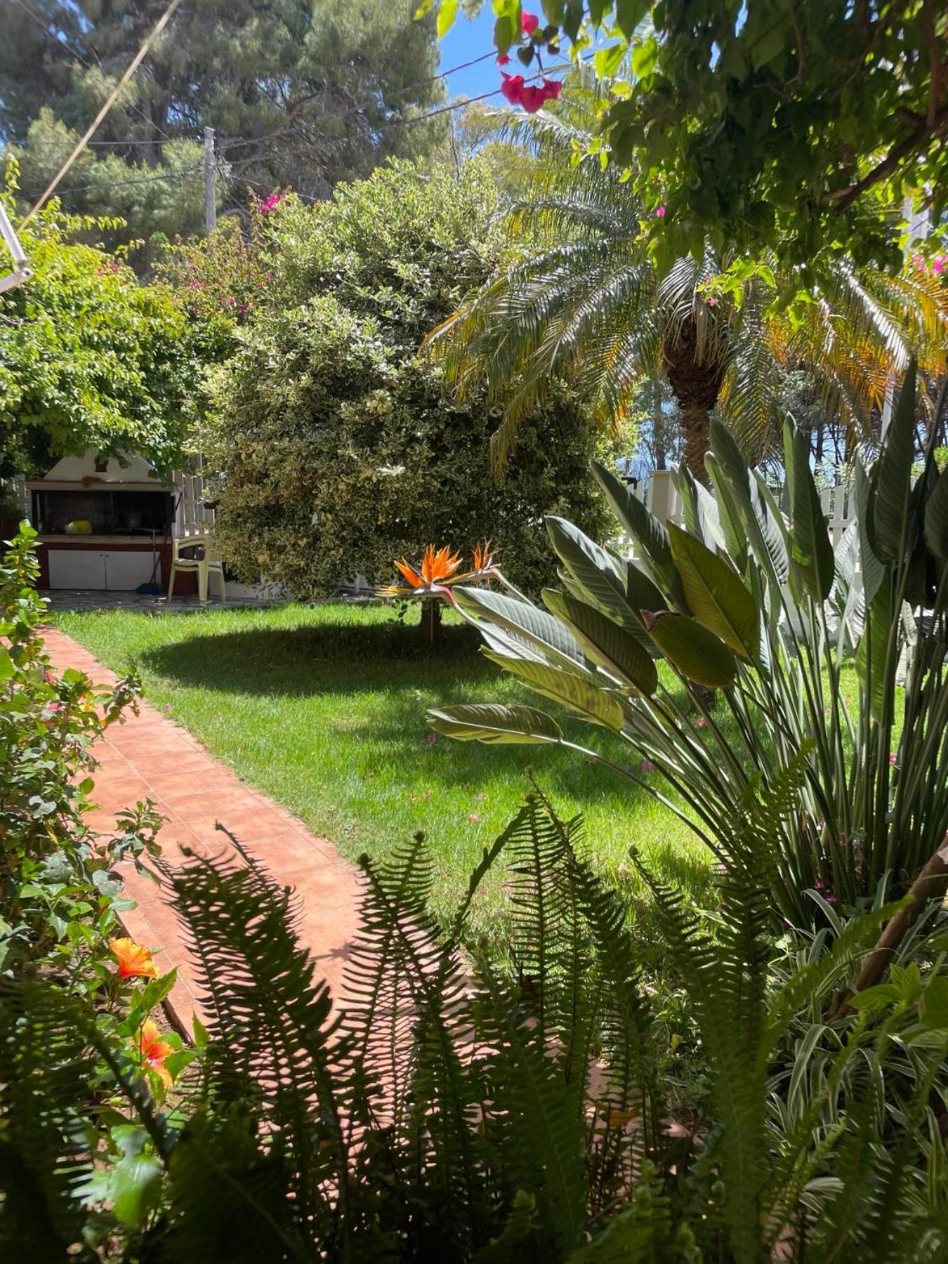 Buganvillas Studios Preveza Eksteriør billede